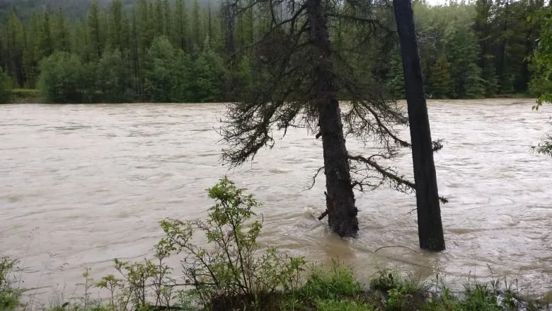 taseko-river-chilcotin-river-flooding