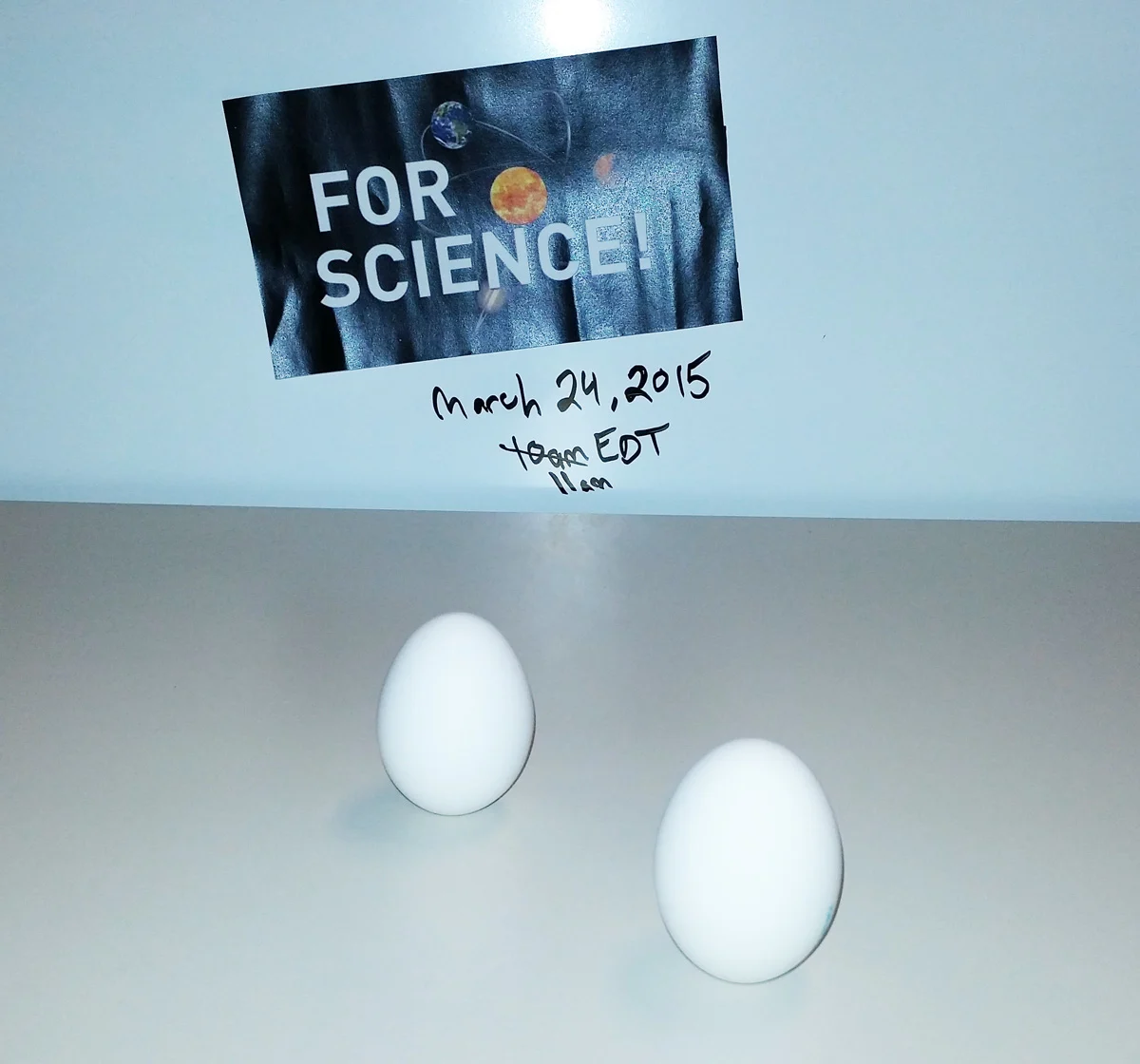 Egg-Balancing-For-Science