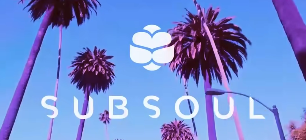 Palm trees and the text "Sub soul"