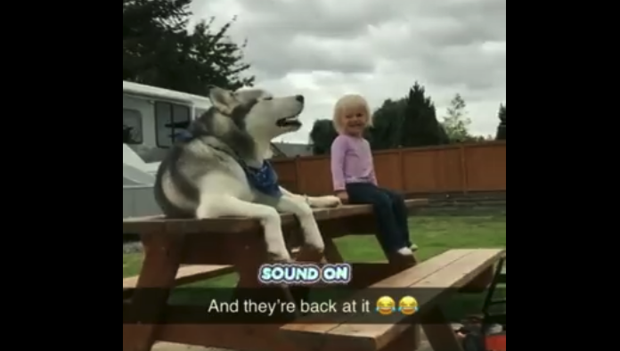 A dog and a kid on a bench