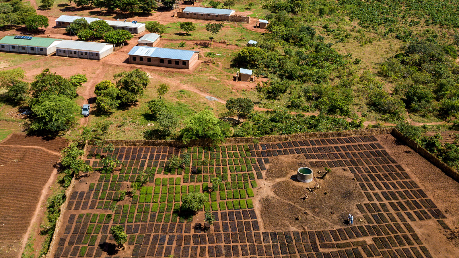 aerial view of the reforesting projects