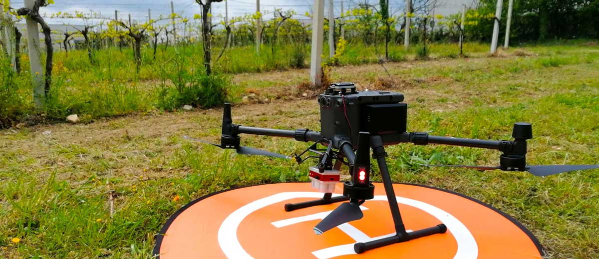 drone in the field