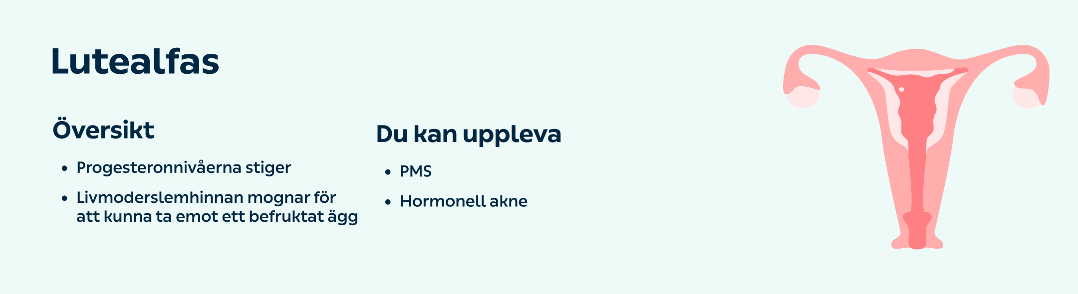 kry.se > Din hälsa > Menscykeln – så fungerar den > Content > Image Lutealfas