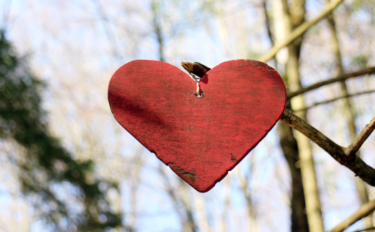 heart wooden heart love symbol wood-1107255.jpg!d