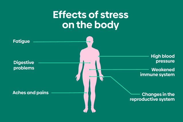 Infographic showing the effects of stress on the body
