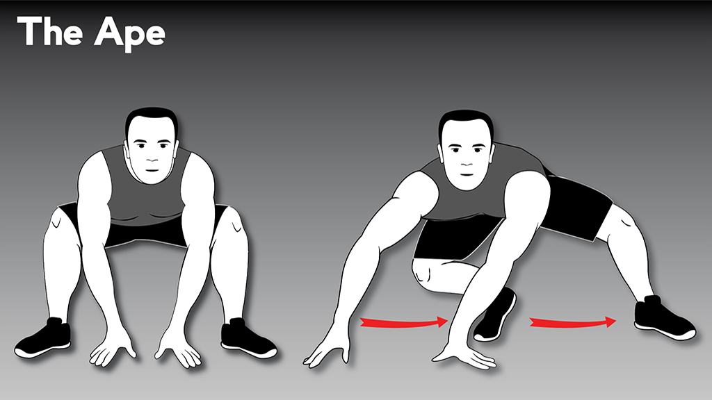 core strengthening exercises : TheApe