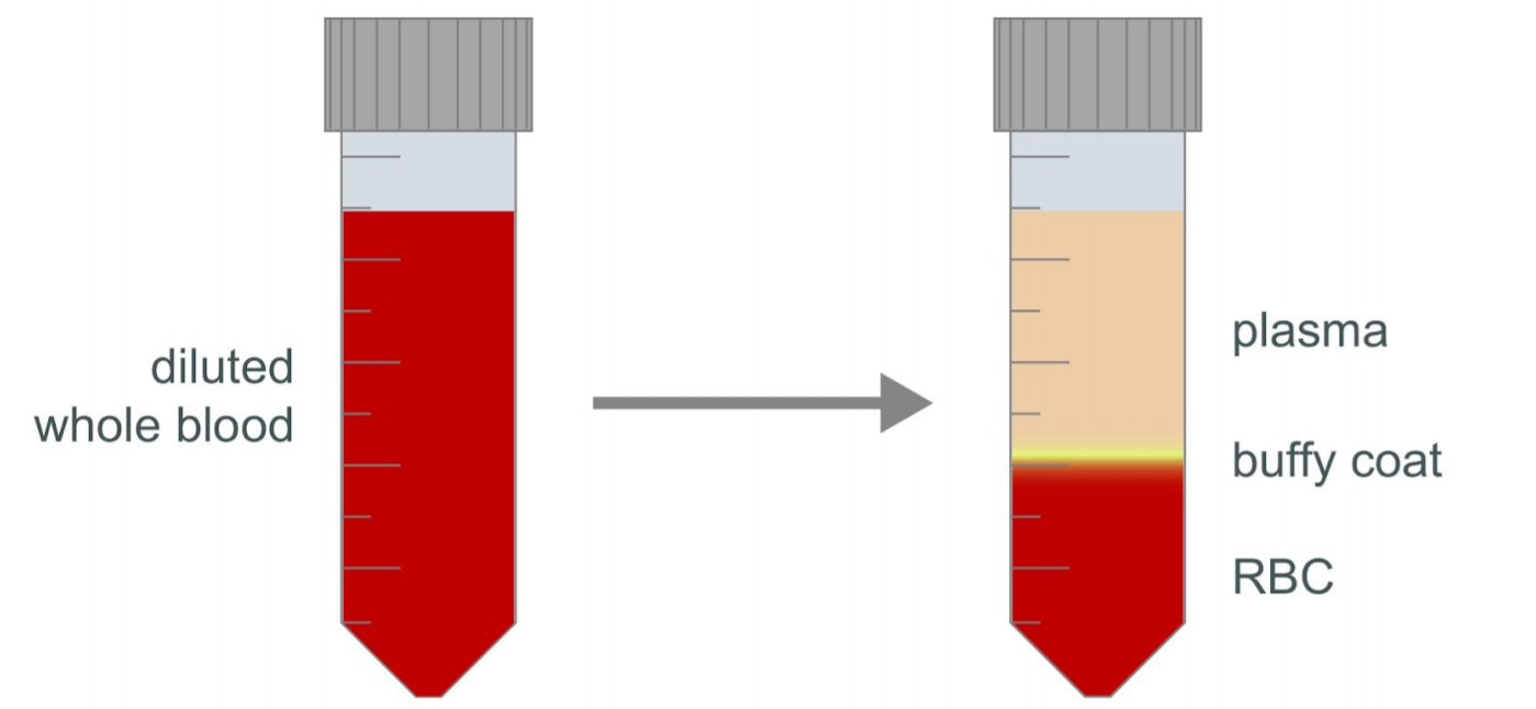 blood Pore-C diagram