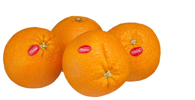 Navel appelsiini kuvitus