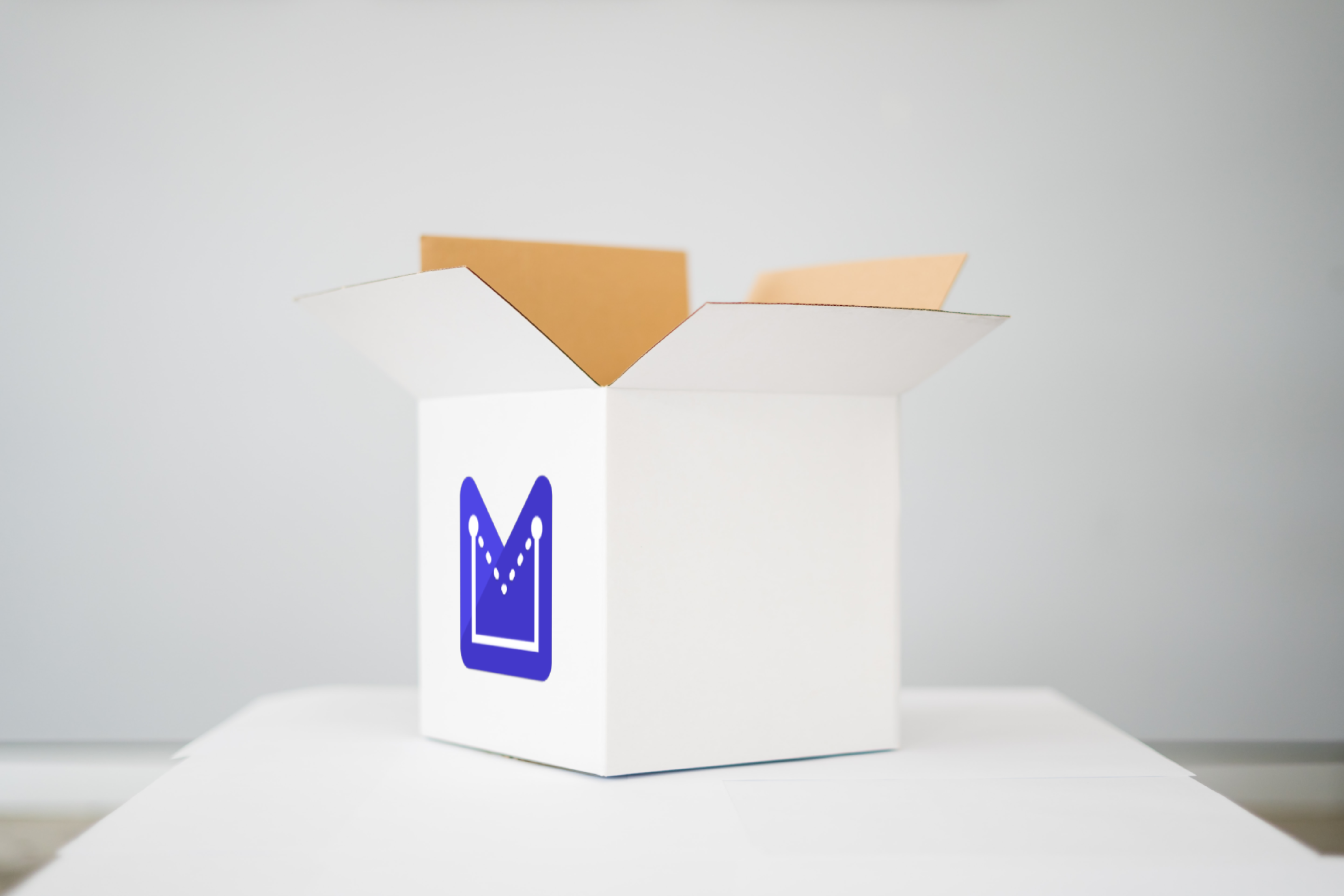 Mockover logo printed on a white packaging box