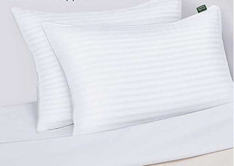 Fern & Willow Queen Pillow 2-Pack, Only $15.21 on  - The Krazy Coupon  Lady