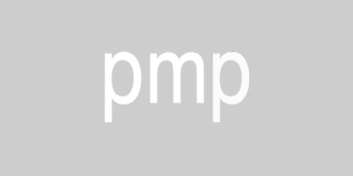 PMP-500x250