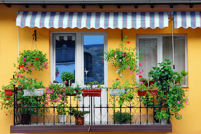 yellow-building-balcony-with-plants