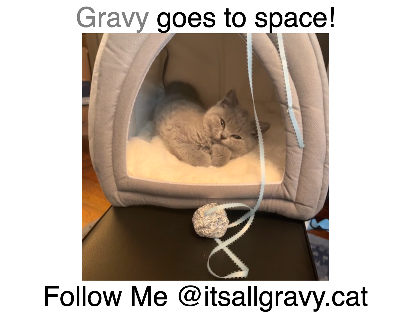 gravy-in-space-screenshot