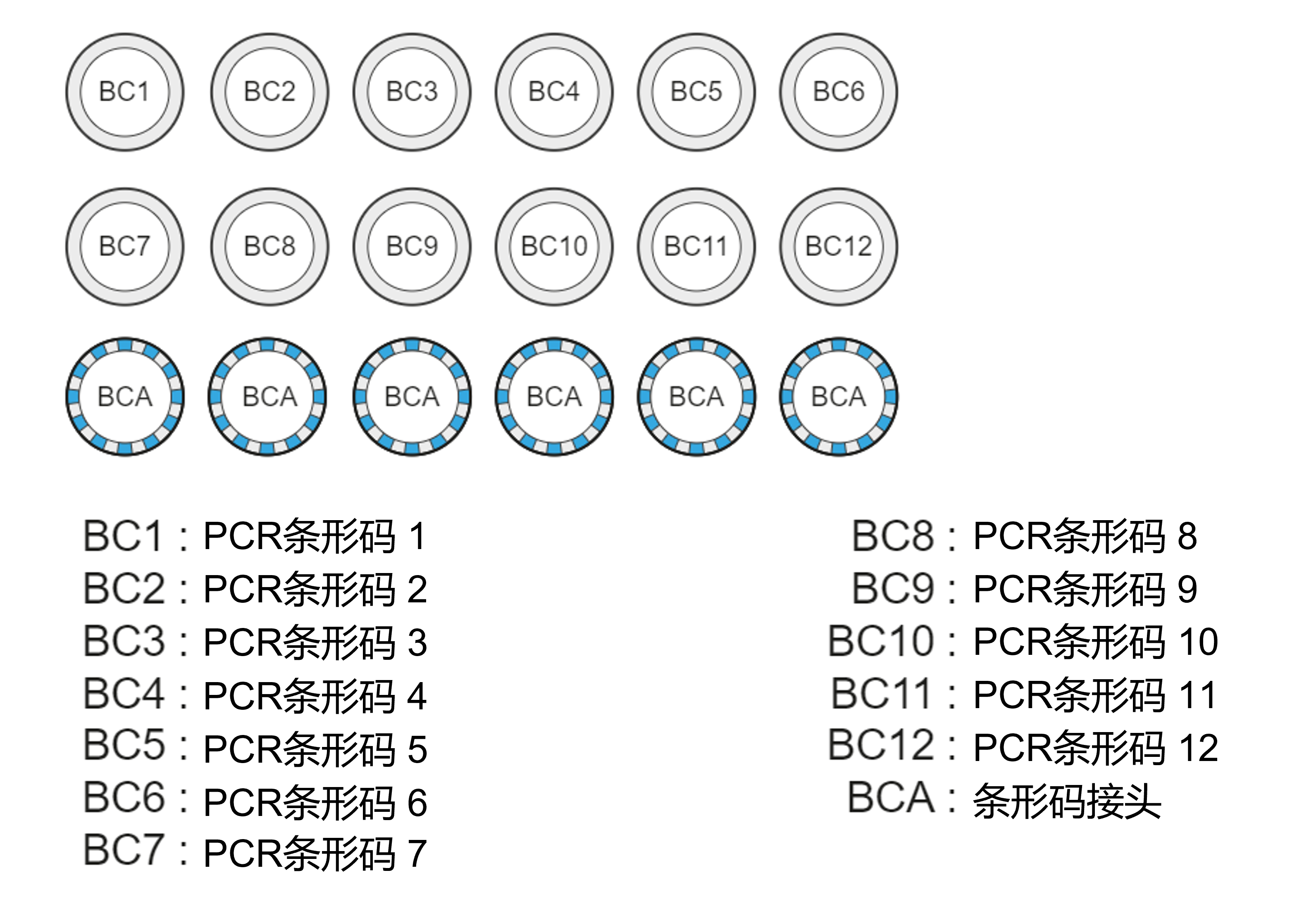 Chinese EXP-PBC001 Kit Content