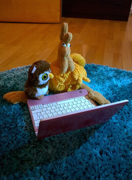 “Pair Programming is a Hoot” by Pinja Turunen can be reused under the CC BY license.​​​