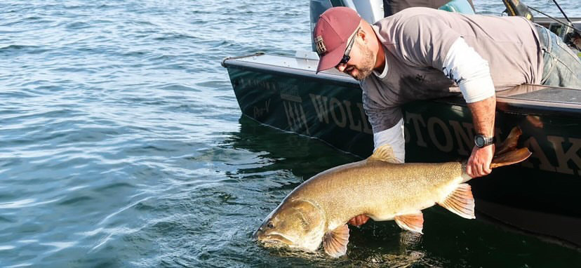 How to Catch Lake Trout with a Boat