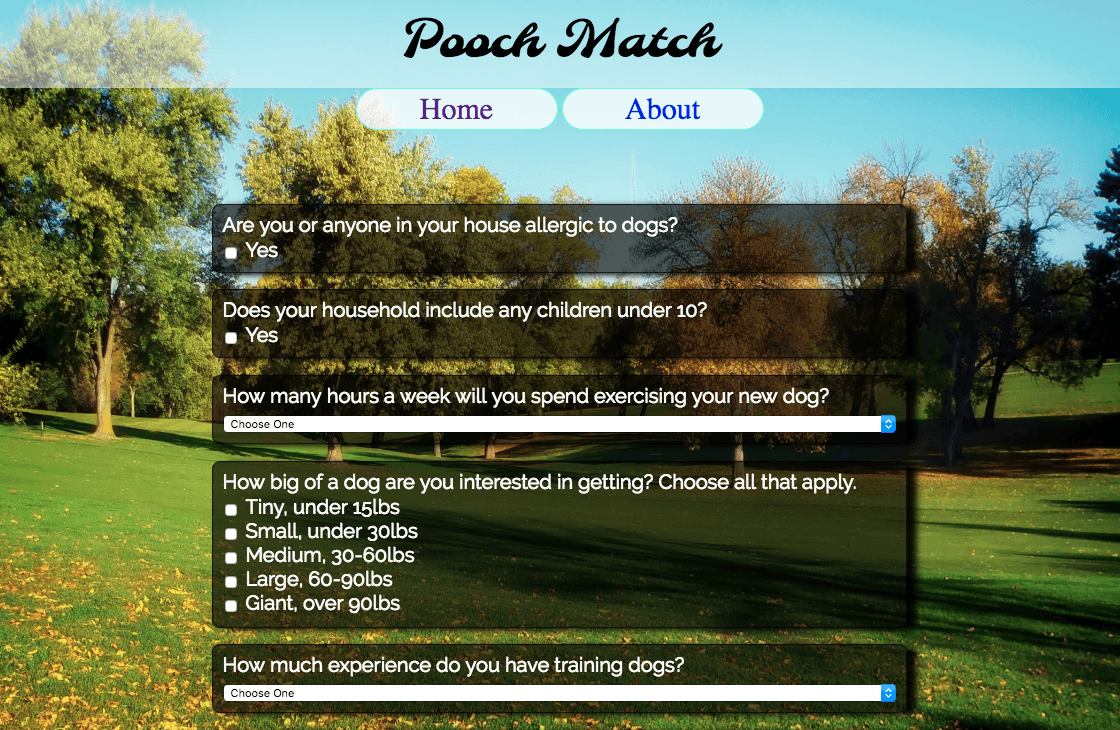 Pooch Match