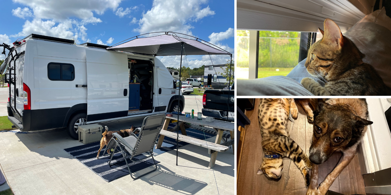 Camper Van Dreams - living life