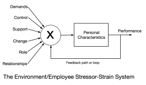 Stressor-Strain-System-300x175