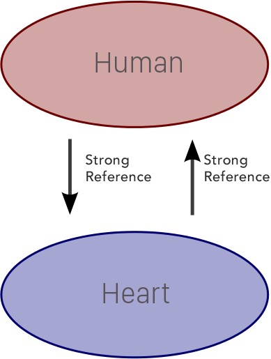 Human-Heart Retain Cycle