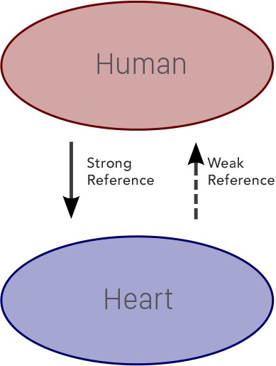 Human-Heart Retain Cycle Broken!