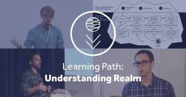 Understanding realm master
