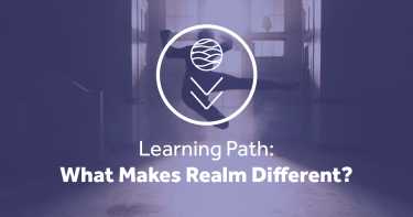 What makes realm different master