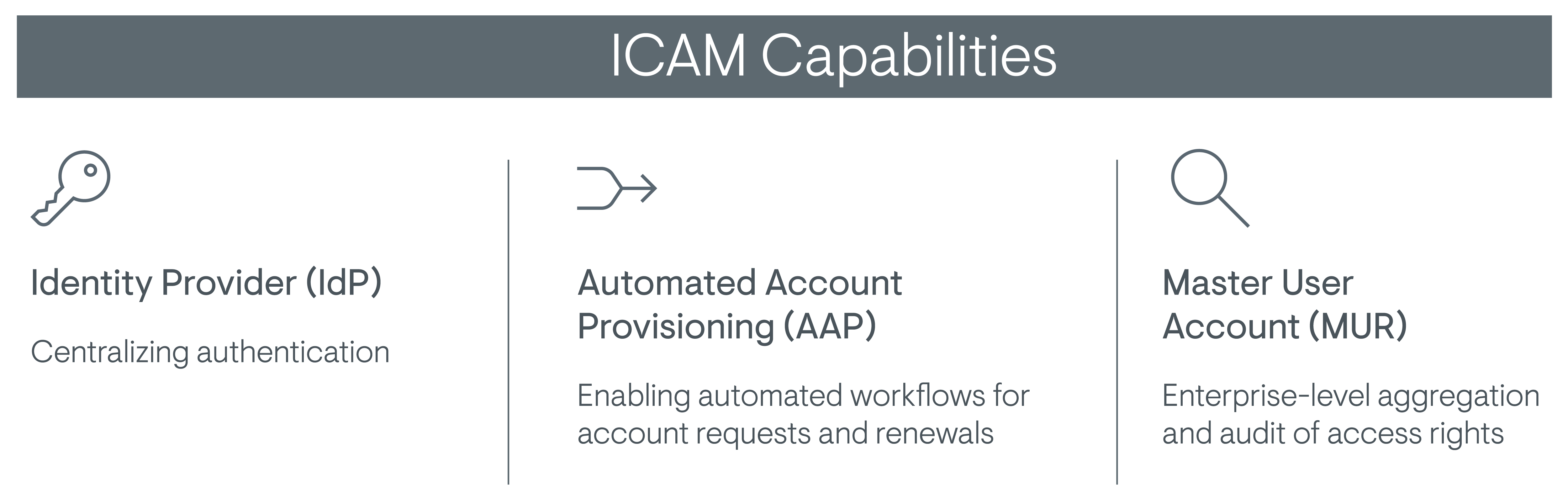 ICAM-Capabilities-1200px-transparent