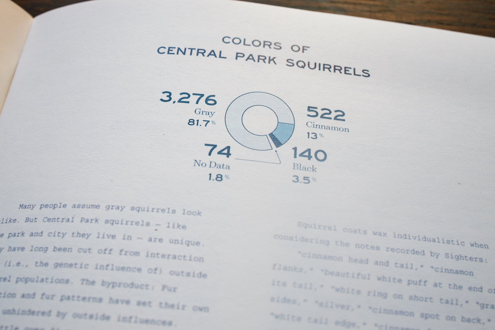 Squirrel Census