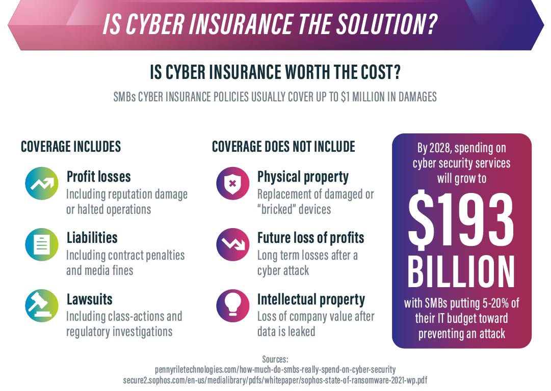is cyber insurance the solution