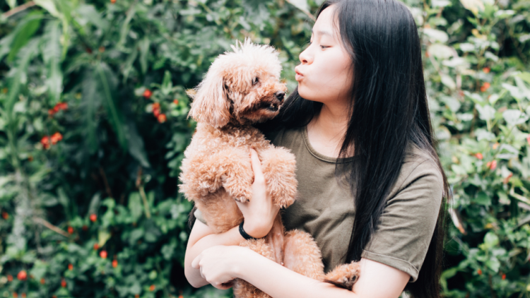 Woman holding Poodle for a kiss