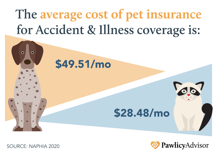 Average Cost of Pet Insurance for Dogs and Cats per Month