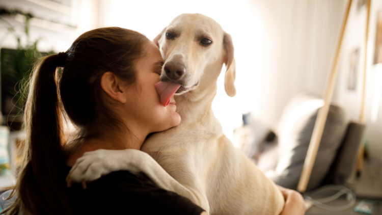 Dog hugging and licking woman