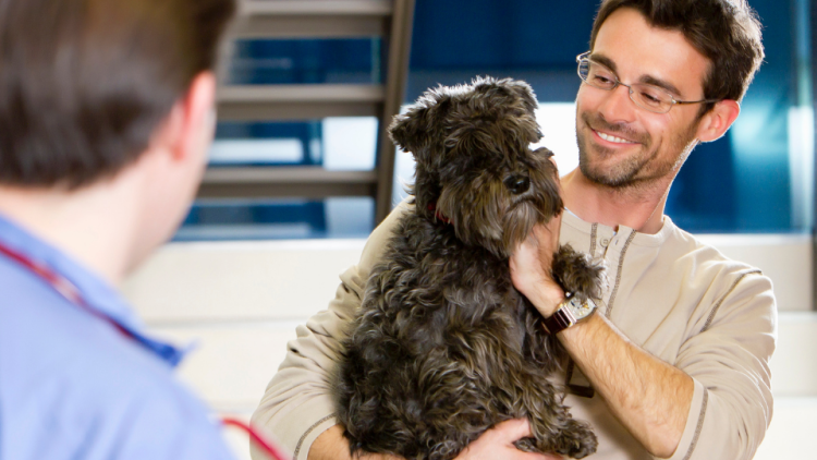 Man holding dog at vet