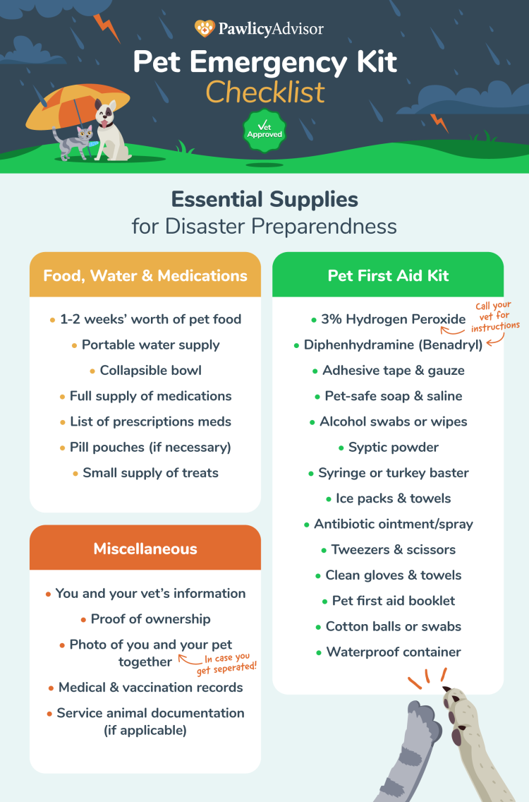 Pet Emergency Kit Checklist for Disaster Preparedness