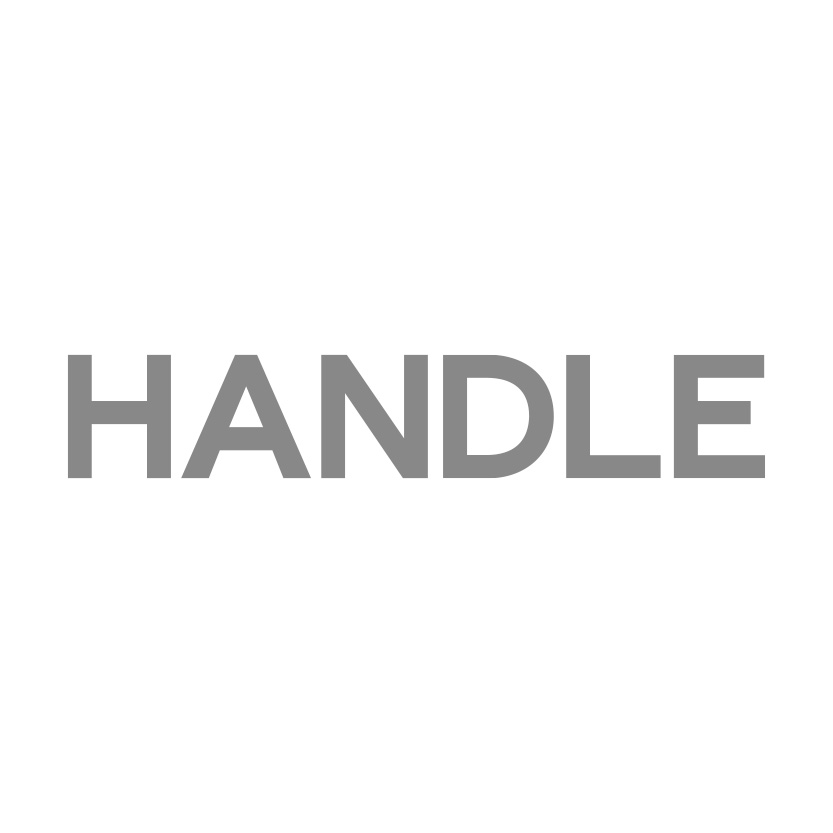 WHAT IS HANDLE
