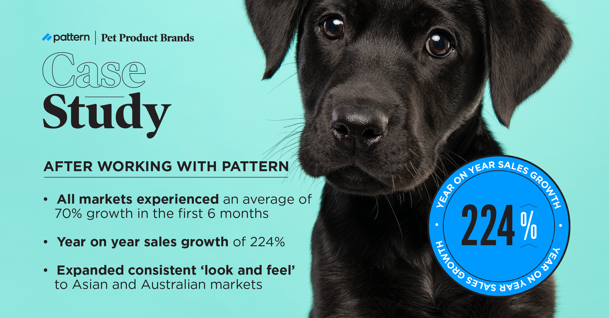 pet product results