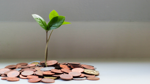 Plant sprouting from coins