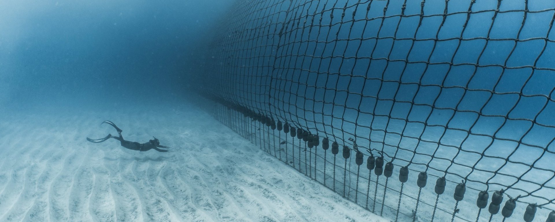Shark nets around Reunion Island