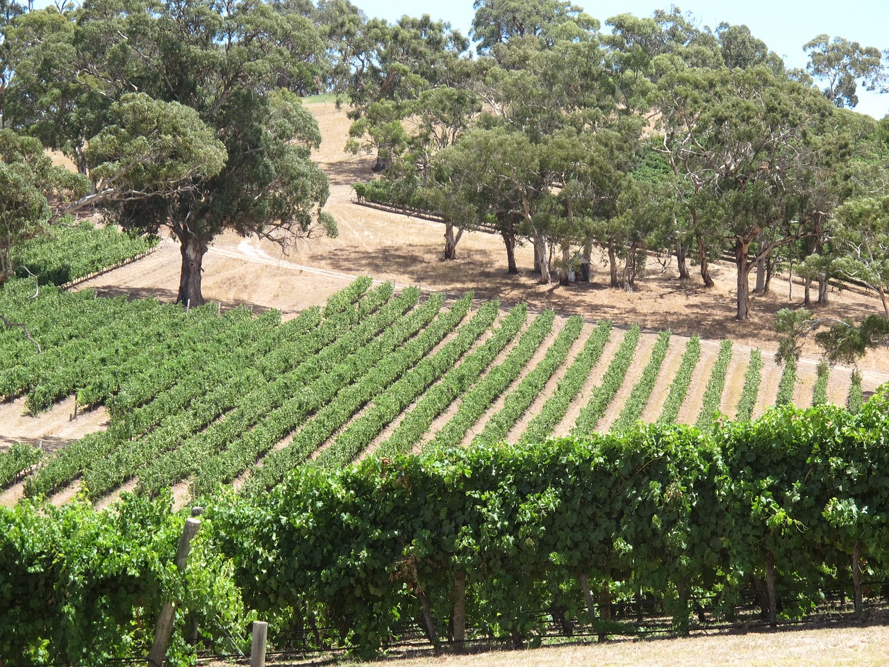 Winery Australia