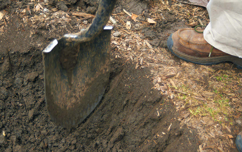 ht-p-plant-a-tree-in-4-steps-2: Rough up the sides of the hole so roots can reach out into the soil easier.