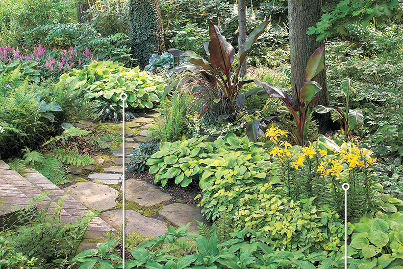 Create a stunning shade garden | Garden Gate