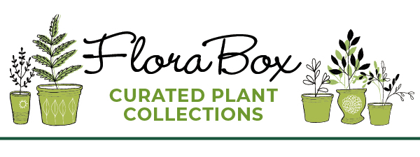 FloraBox Curated Plant Collections from the Garden Gate Store