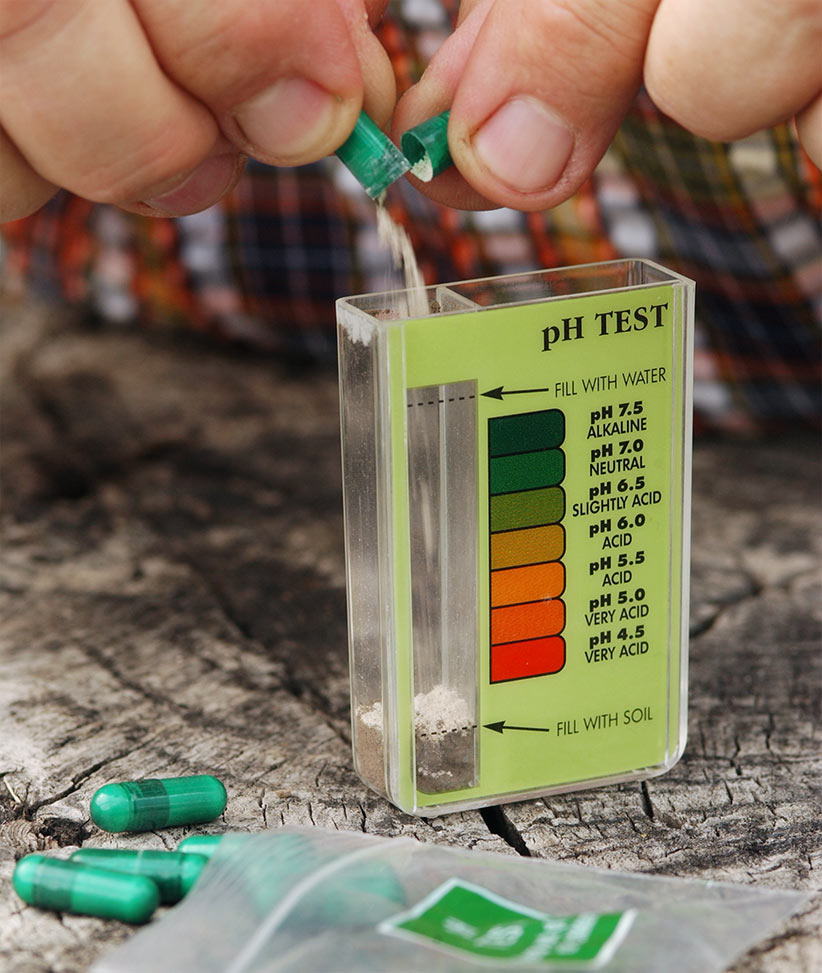 How to test your soil's pH