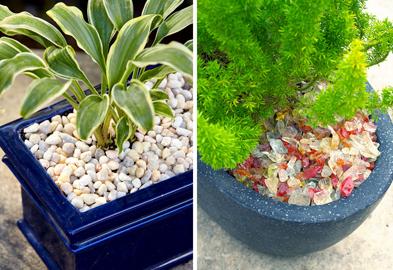 Decorative mulch in containers