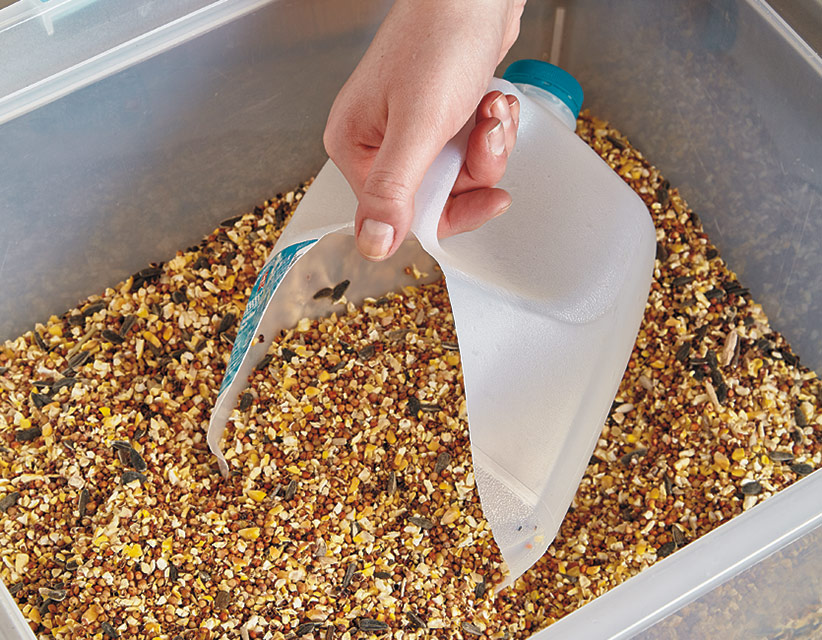 ht-feeder-refill-lead: Recycle a used milk jug to use as both a scoop and a funnel for refilling your birdfeeders. 