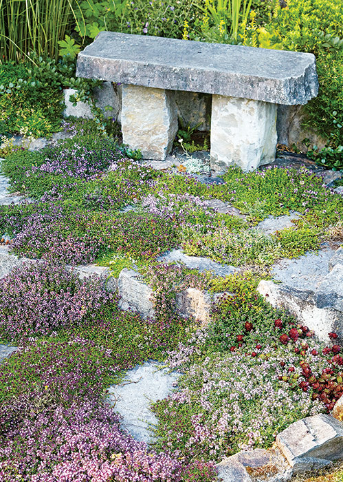 Creeping thyme growing between patio pavers: Try adding fragrant ground covers like creeping thyme will add scent in an unexpected place.