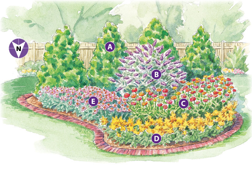 Illustration butterfly garden plan by Carlie Hamilton: Illustration by Carlie Hamilton