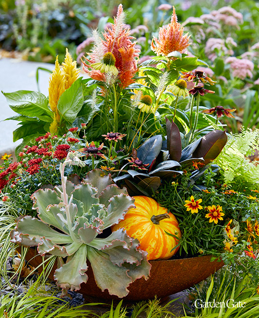 Fall planter with pumpkin and Corten steel container 