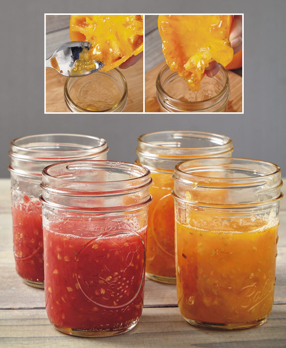 v-t-seed-fermentation-2: You can scoop out the tomato gel that contains the seeds with a spoon, 
or simply squeeze the tomato half to push out the pulp.